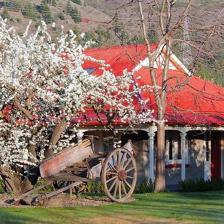 Hartley Homestead Boutique Bed & Breakfast Clyde Exterior foto